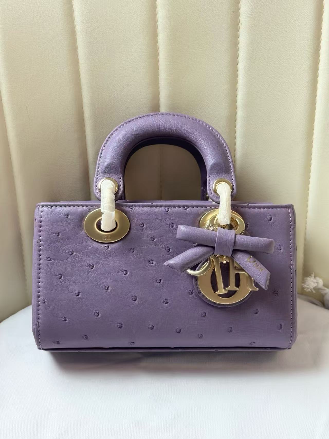 Dior 2026 Lady D-Joy Bag 19cm Ostrich Leather