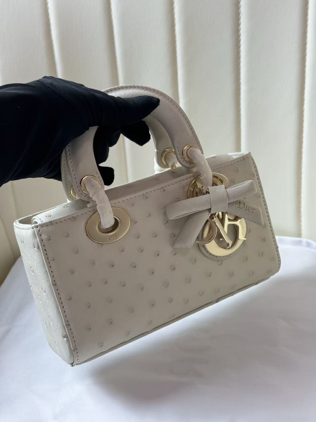 Dior 2026 Lady D-Joy Bag 19cm Ostrich Leather
