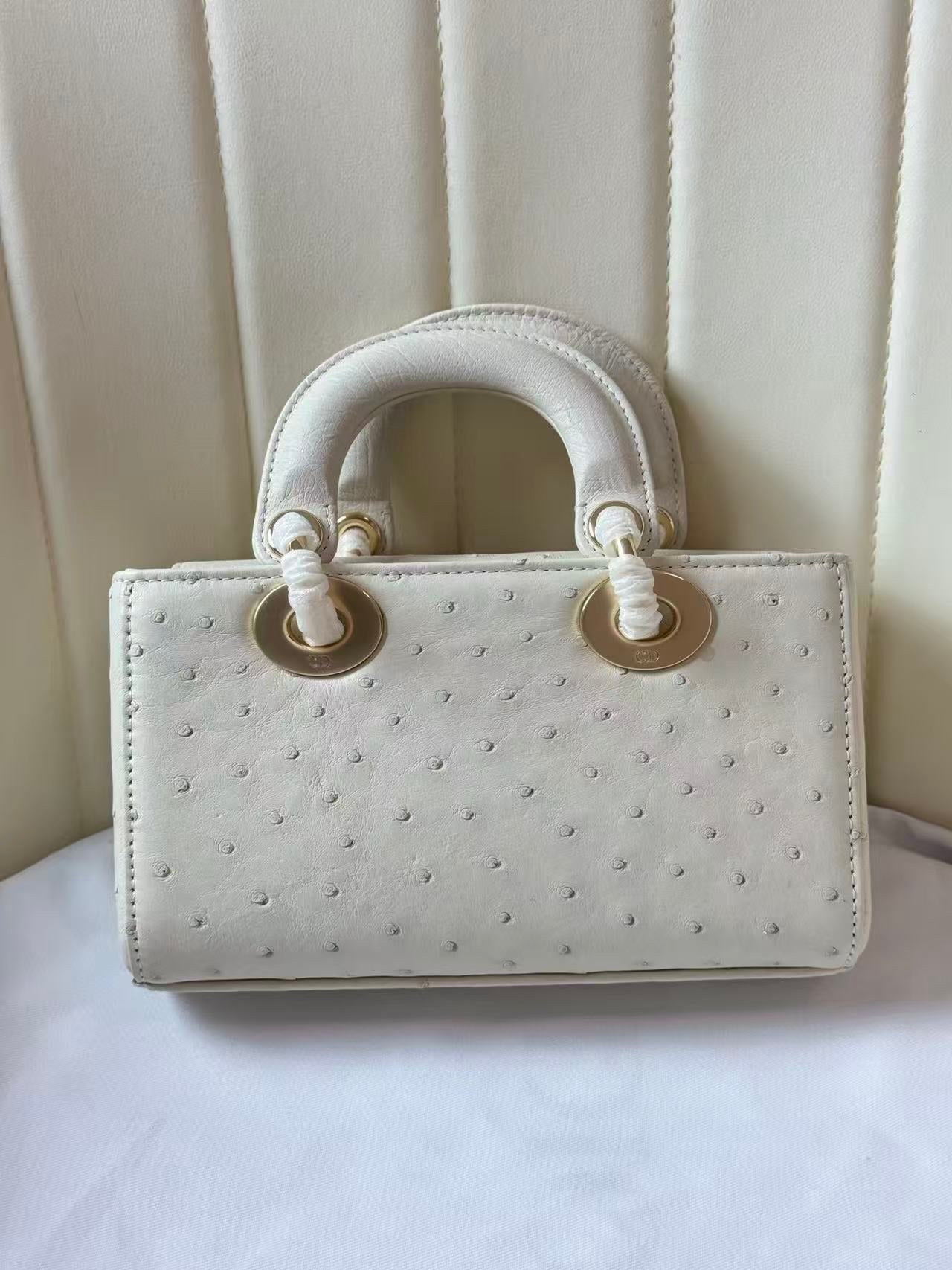 Dior 2026 Lady D-Joy Bag 19cm Ostrich Leather