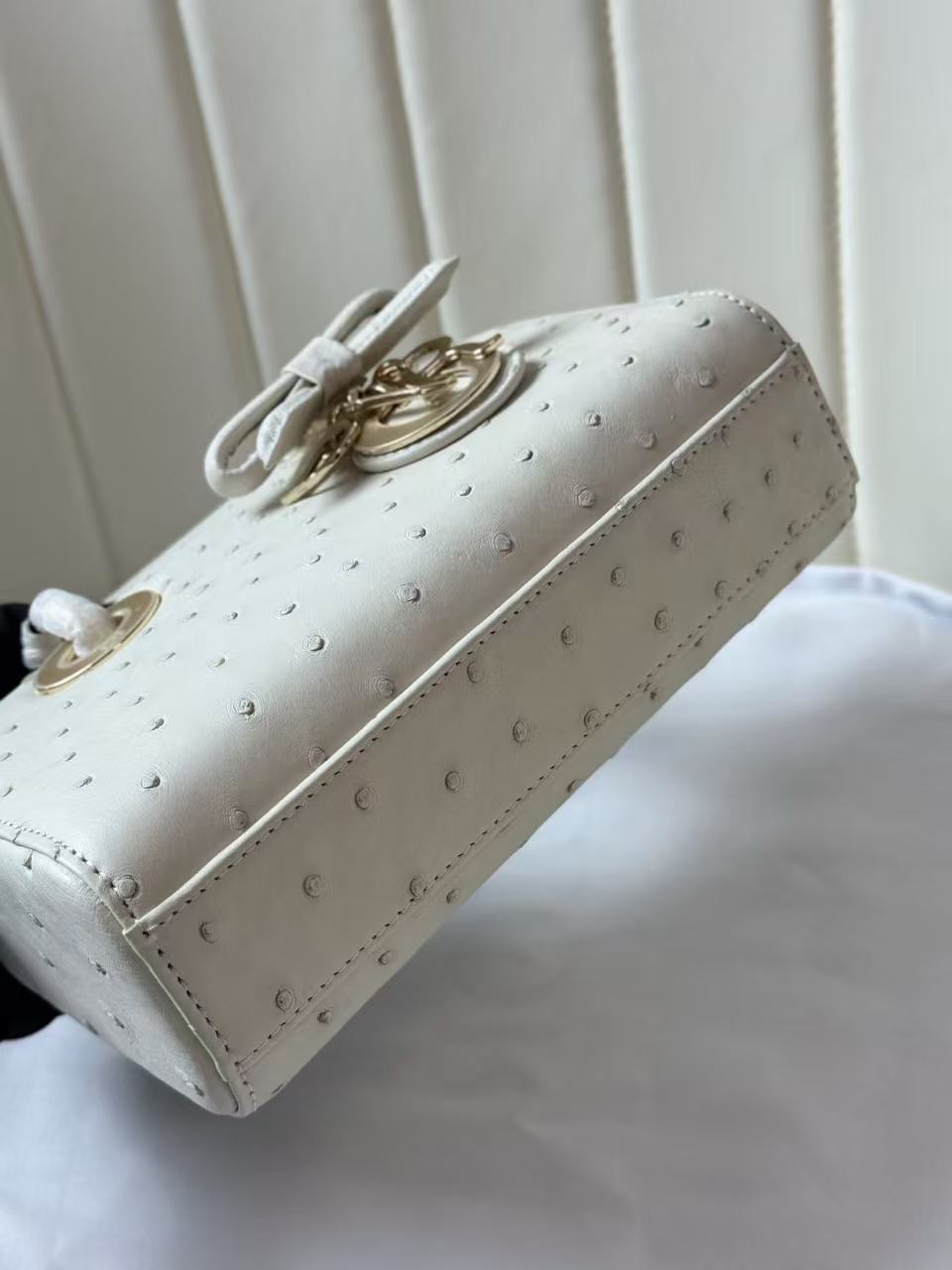 Dior 2026 Lady D-Joy Bag 19cm Ostrich Leather