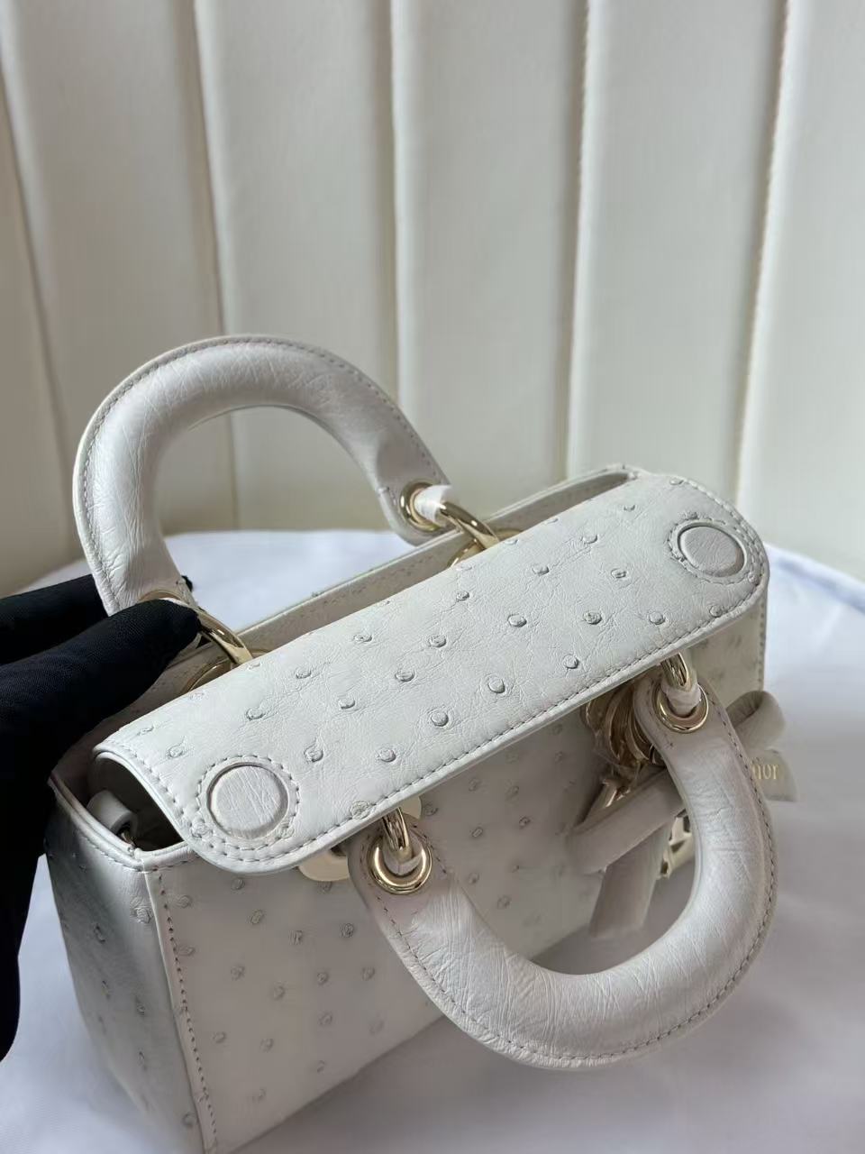 Dior 2026 Lady D-Joy Bag 19cm Ostrich Leather