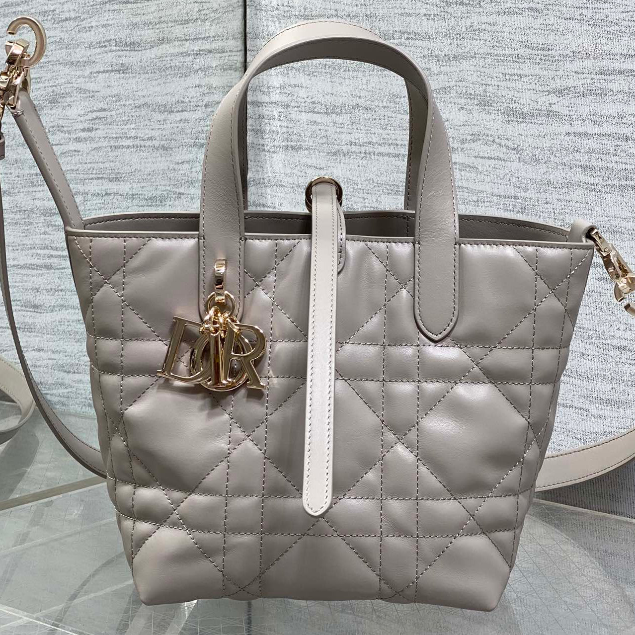 Dior 2026 Toujours Vertical Tote Bag Elegant Grey Calfskin 286656
