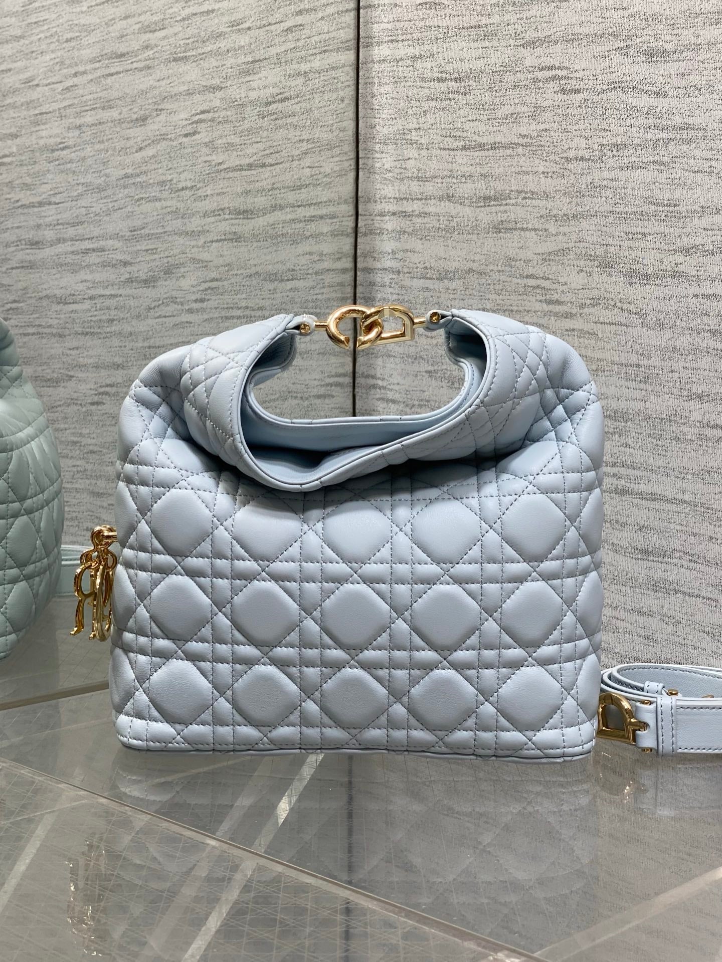 Dior 2026 Bag 27cm Multicolor Lambskin 355516