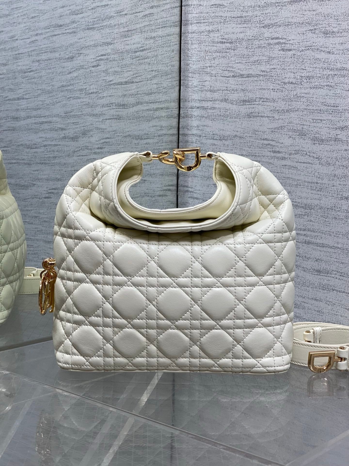 Dior 2026 Bag 27cm Multicolor Lambskin 355516