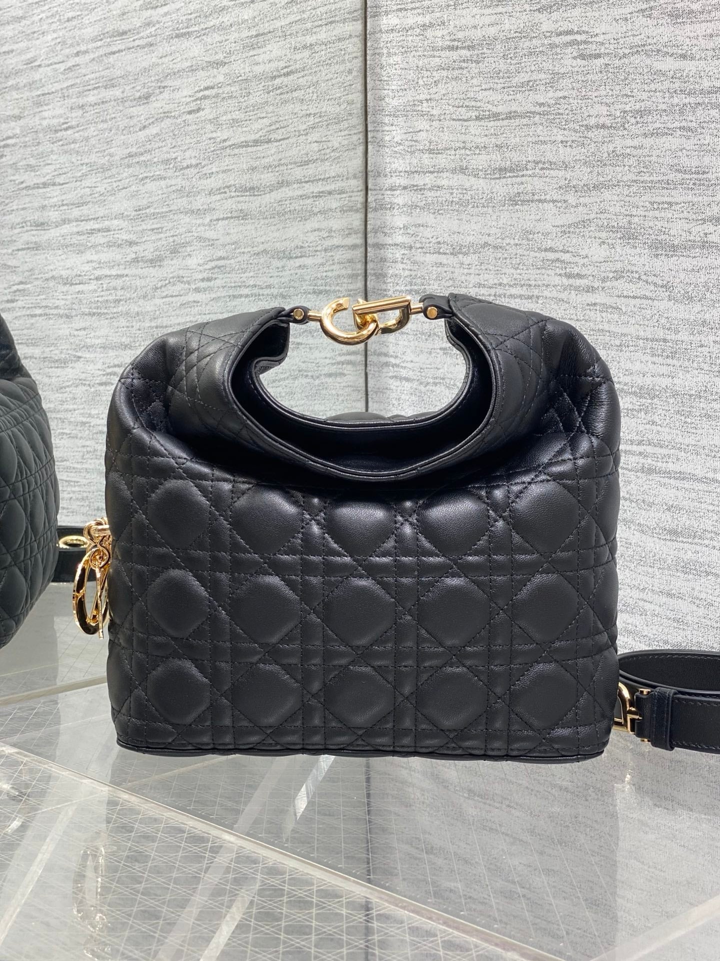 Dior 2026 Bag 27cm Multicolor Lambskin 355516