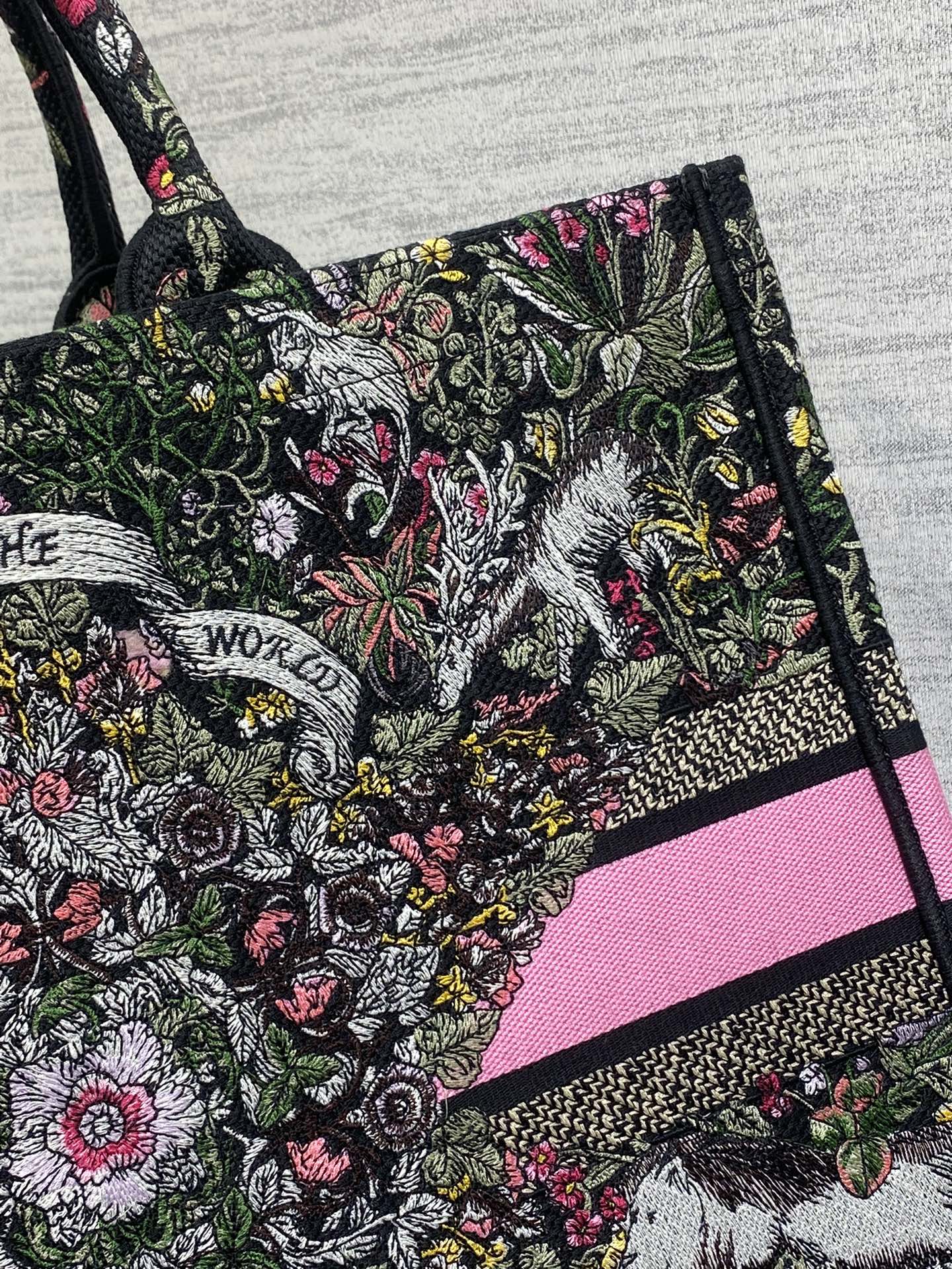 Dior 2026 Around The World Tote Bag Canvas 542528