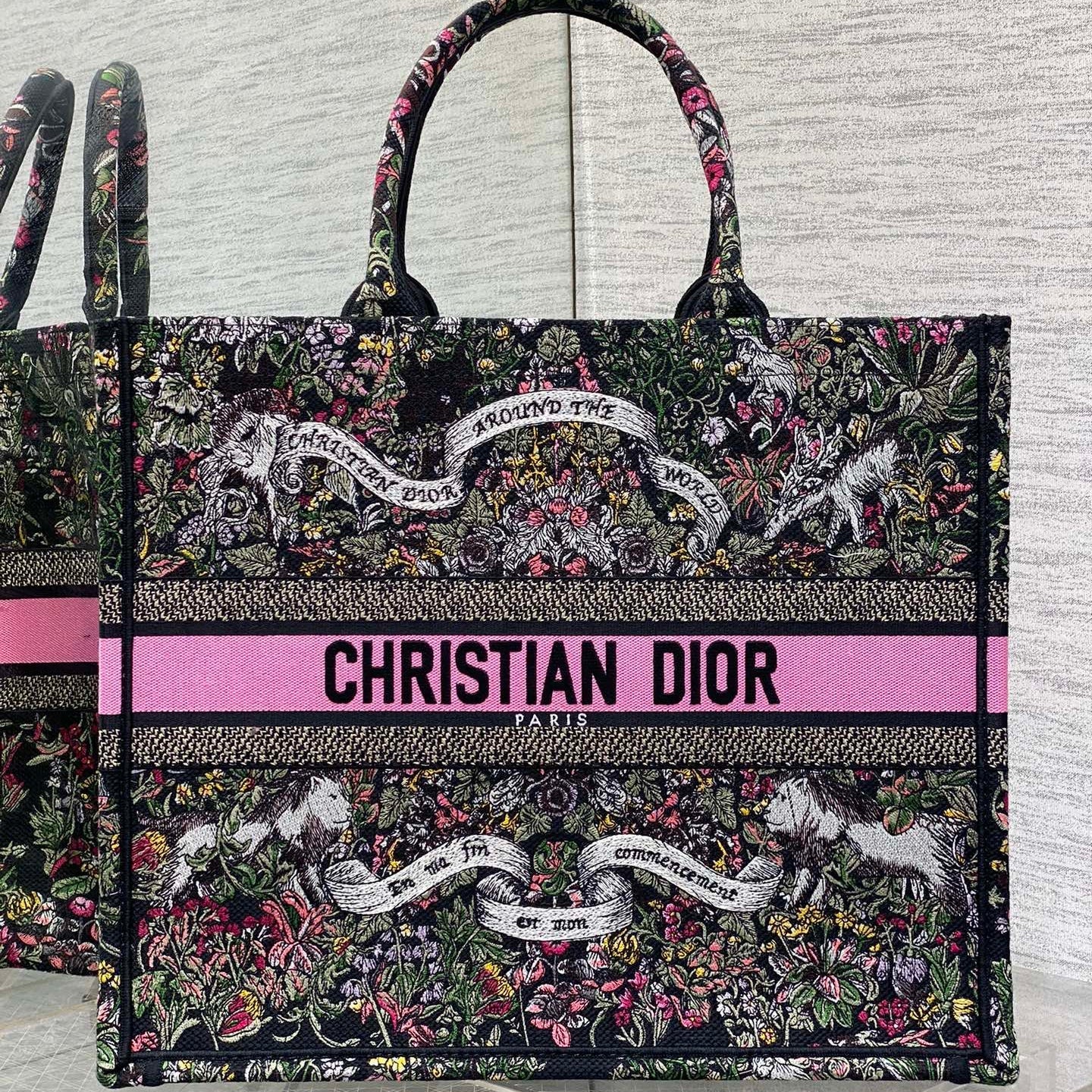 Dior 2026 Around The World Tote Bag Canvas 542528