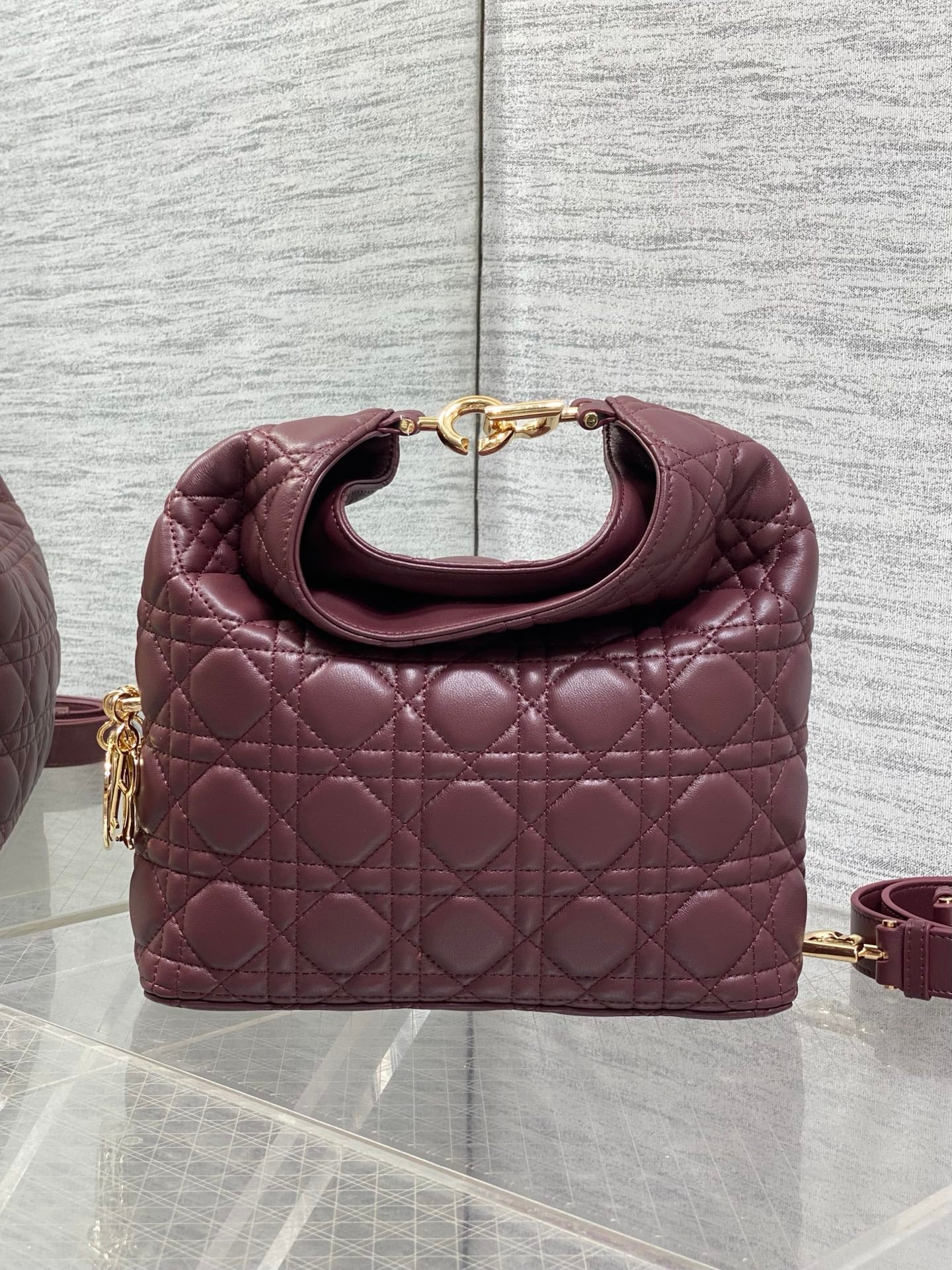Dior 2026 Bag 27cm Multicolor Lambskin 355516