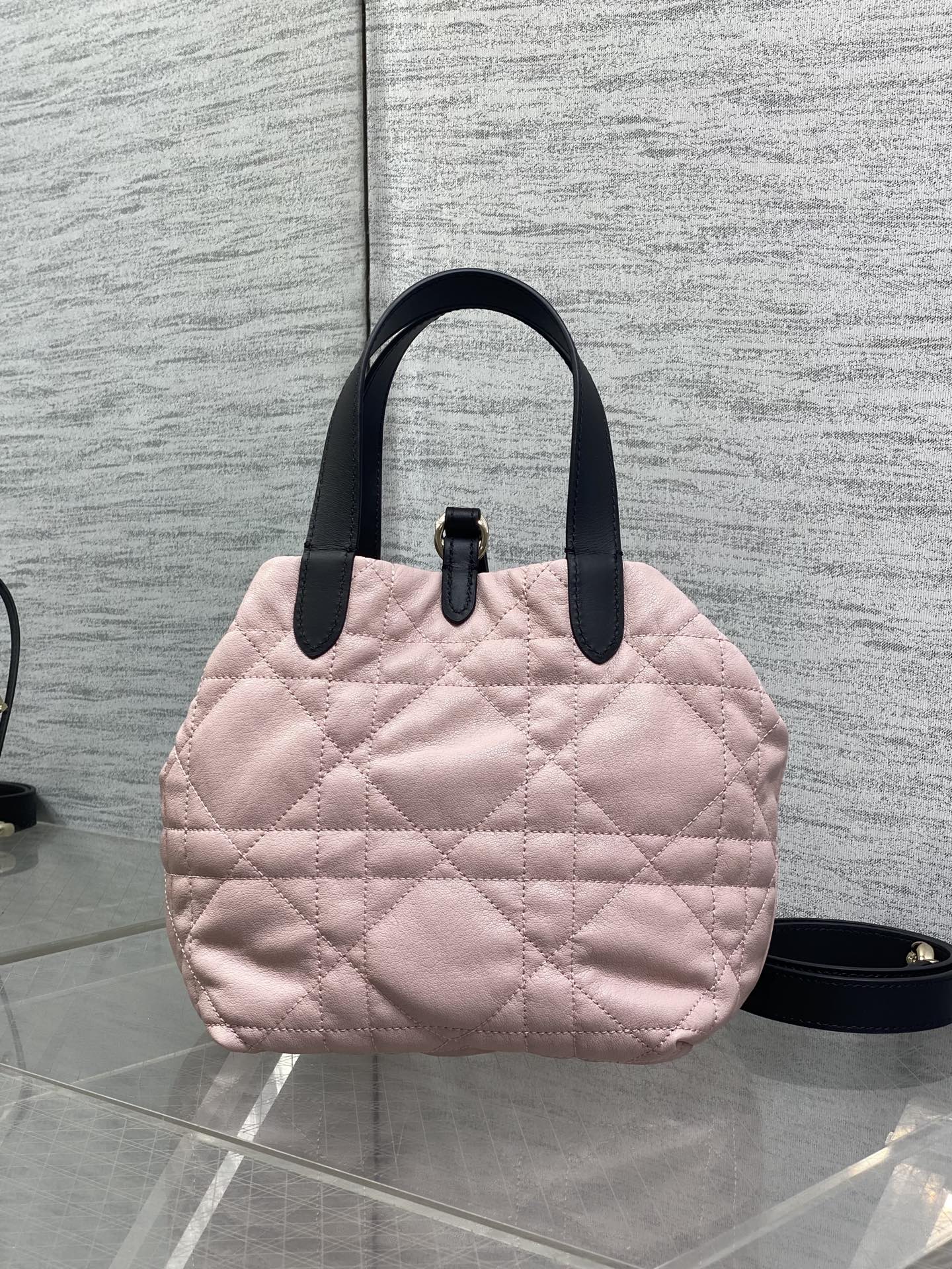 Dior 2026 Toujours Vertical Tote Bag Calfskin