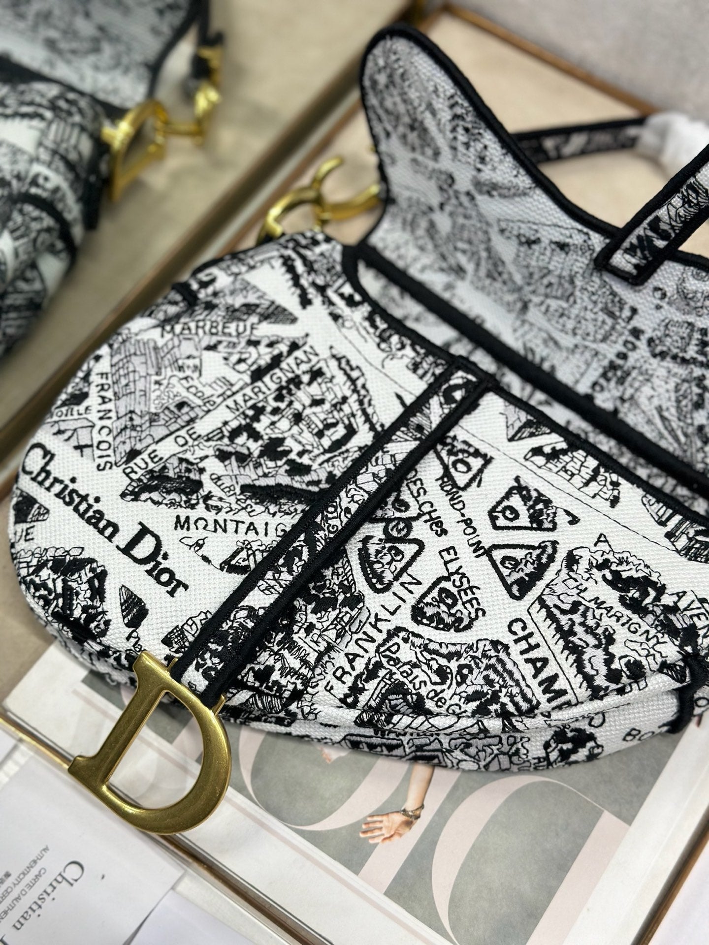 Dior 2026 Striking Black White Plan de Paris Pattern 25.5cm Saddle Bag 289478