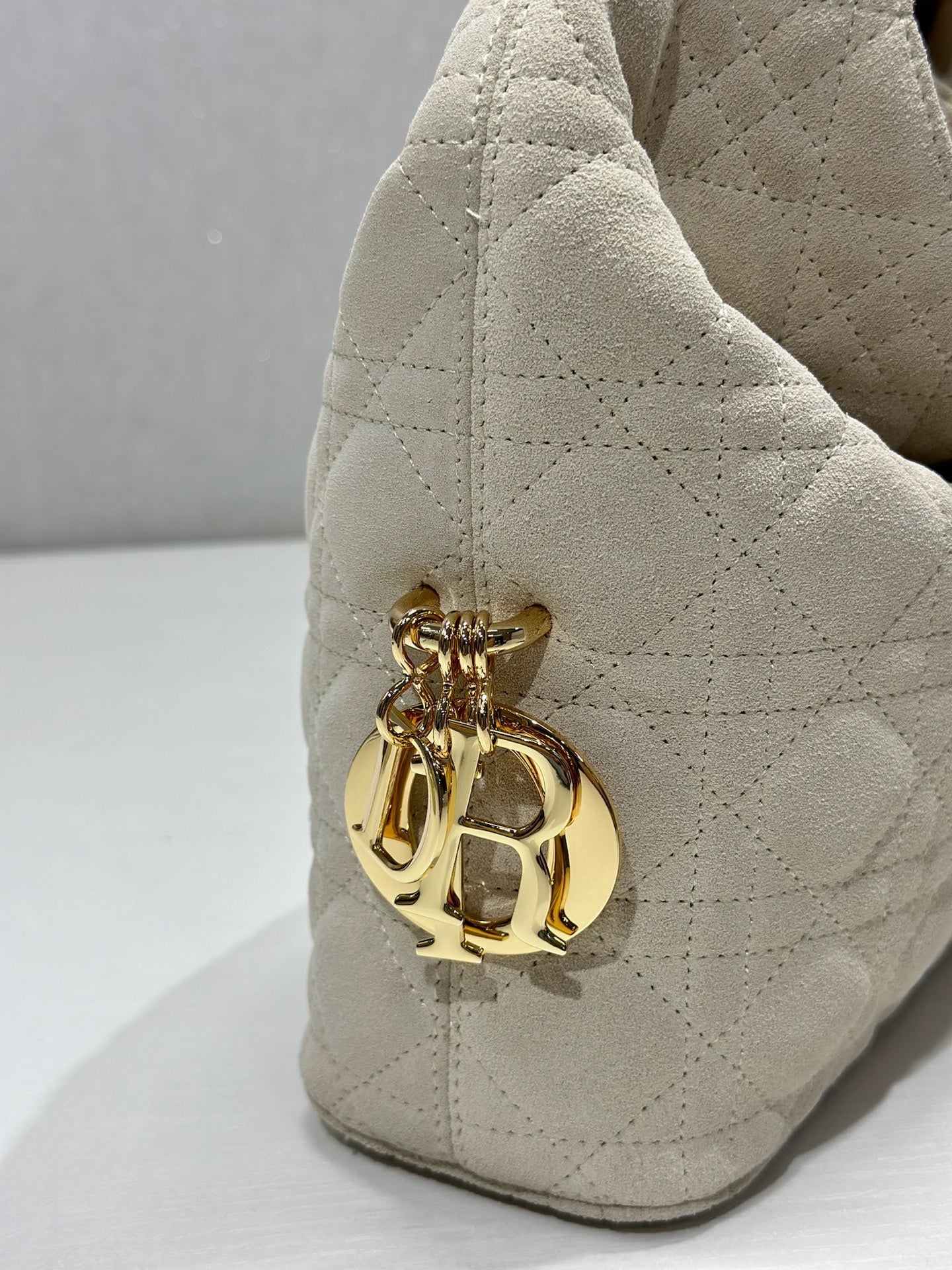 Dior 2026 Bag 27cm Multicolor Velvet Leather 289496
