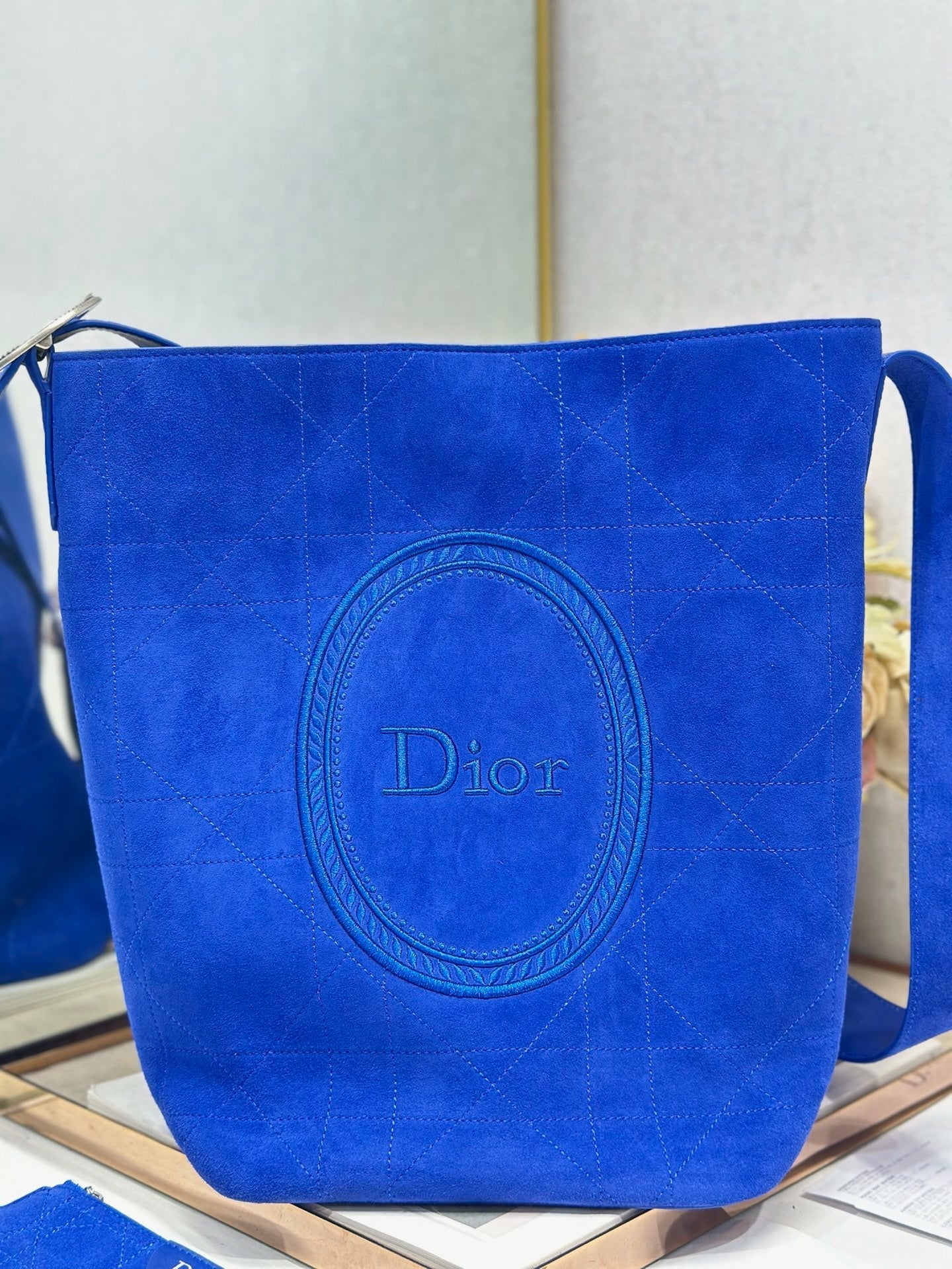 Dior 2026 Medaillon Bucket Bag Suede and Leather 159057
