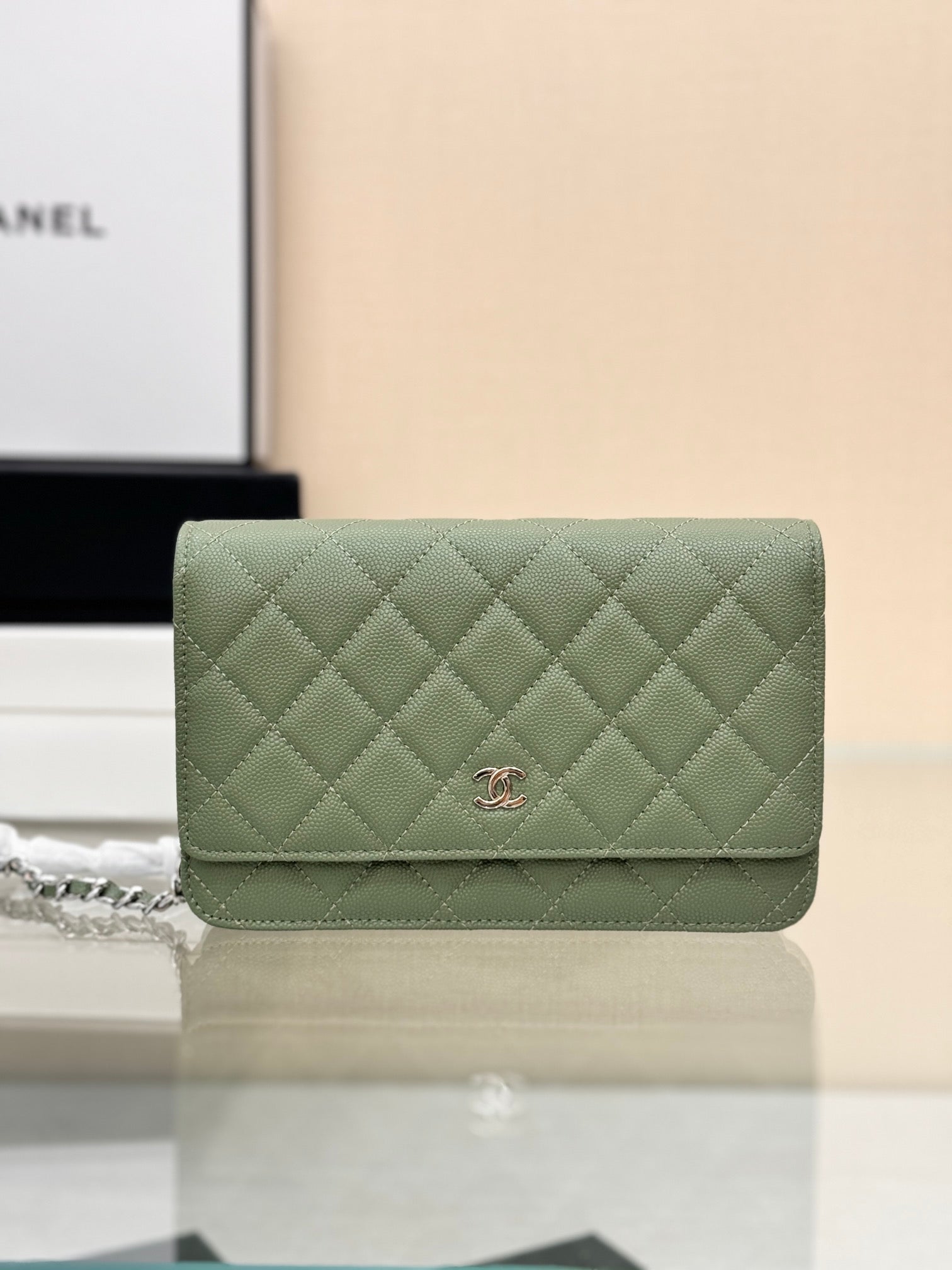WOC 19CM GREEN CAVIAR SILVER HARDWARE