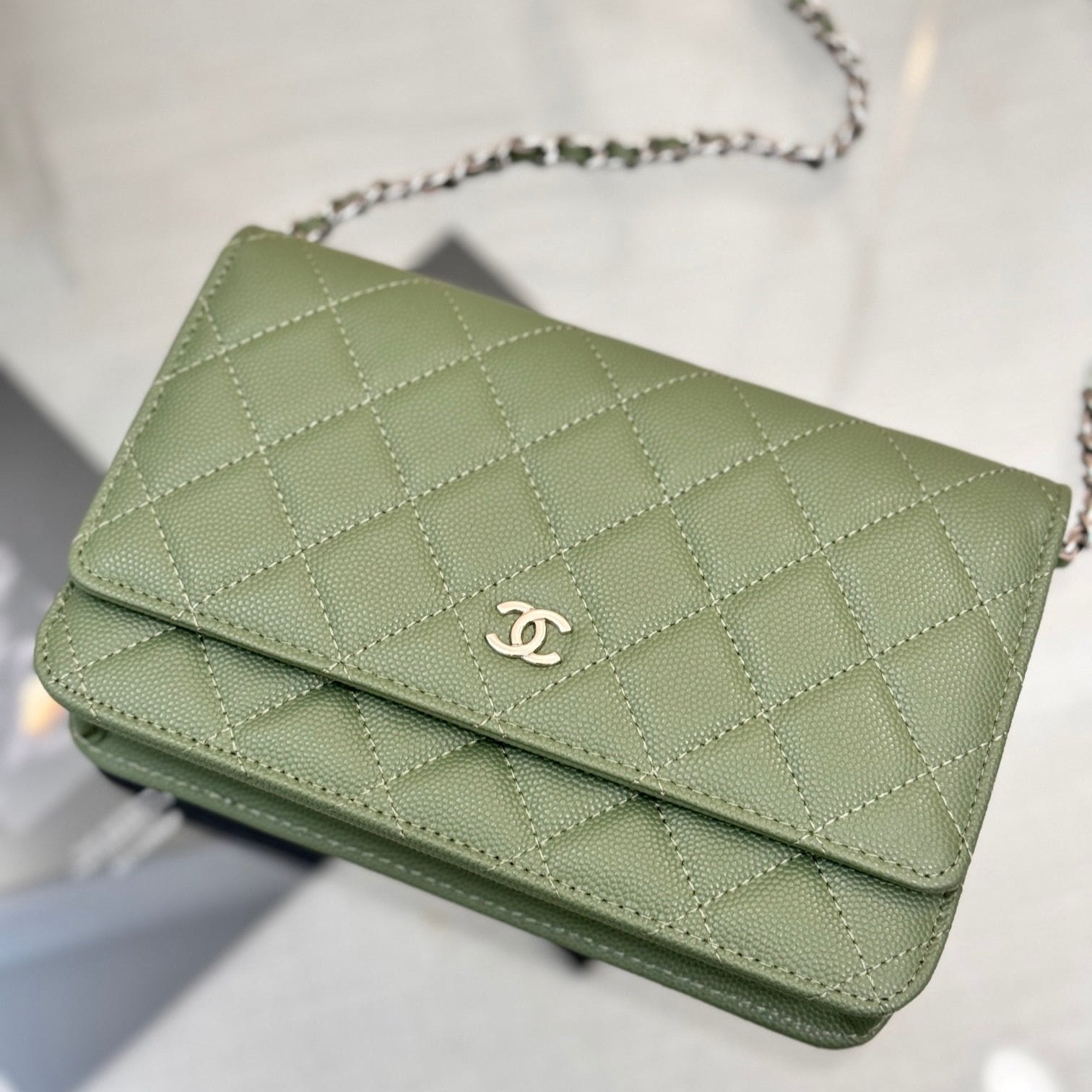 WOC 19CM GREEN CAVIAR SILVER HARDWARE