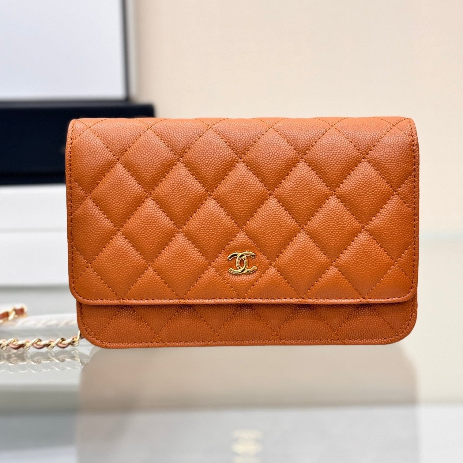 WOC 19CM CAVIAR GOLD HARDWARE